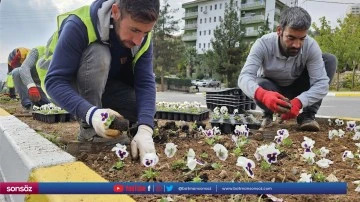 Kavşak ve ref&uuml;jler &ccedil;i&ccedil;eklendirildi