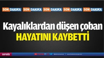 Kayalıklardan d&uuml;şen &ccedil;oban hayatını kaybetti