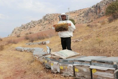 Kayınpederine &ouml;zenerek arıcı oldu