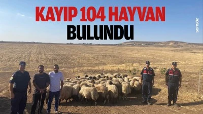 Kayıp 104 hayvan bulundu