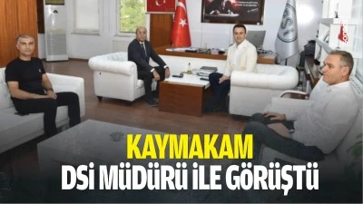 Kaymakam, DSİ M&uuml;d&uuml;r&uuml; ile g&ouml;r&uuml;şt&uuml;