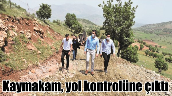 KAYMAKAM, YOL KONTROL&Uuml;NE &Ccedil;IKTI
