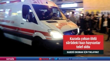 Kazada &ccedil;oban &ouml;ld&uuml;, s&uuml;r&uuml;deki bazı hayvanlar telef oldu