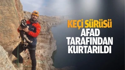 Ke&ccedil;i s&uuml;r&uuml;s&uuml; AFAD tarafından kurtarıldı