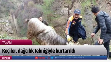 Ke&ccedil;iler, dağcılık tekniğiyle kurtarıldı
