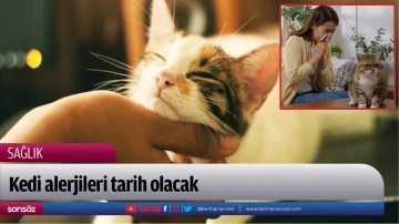 Kedi alerjileri tarih olacak