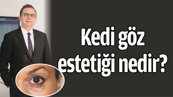 KEDİ G&Ouml;Z ESTETİĞİ NEDİR? 