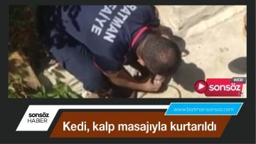 Kedi, kalp masajıyla kurtarıldı