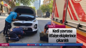 Kedi yavrusu itfaiye ekiplerince &ccedil;ıkarıldı