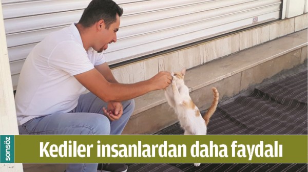 KEDİLER İNSANLARDAN DAHA FAYDALI