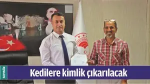 KEDİLERE KİMLİK &Ccedil;IKARILACAK