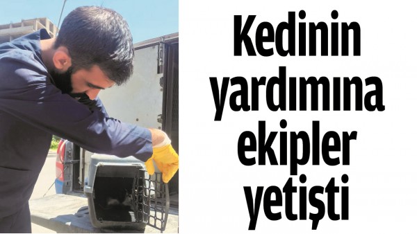 KEDİNİN YARDIMINA EKİPLER YETİŞTİ