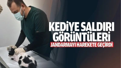 Kediye saldırı g&ouml;r&uuml;nt&uuml;leri jandarmayı harekete ge&ccedil;irdi