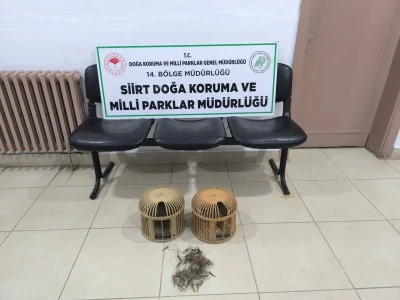 Keklik avlayan 3 kişiye 111 bin 855 lira ceza verildi