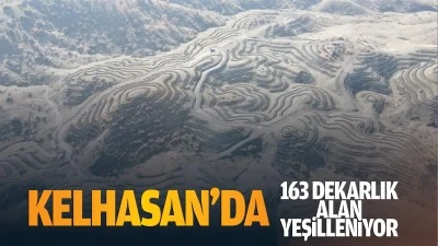 Kelhasan&rsquo;da 163 dekarlık alan yeşilleniyor