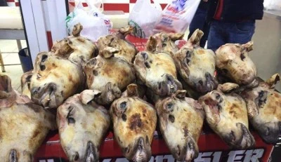 Kelle fiyatıyla dikkat &ccedil;ekiyor