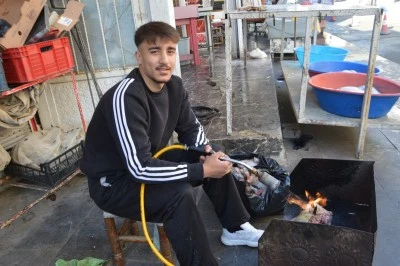 Kelle fiyatları arttı