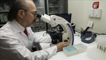 Kemik iliği kanserinde "h&uuml;cresel" tedaviler k&ouml;kten &ccedil;&ouml;z&uuml;m sağlayabilir
