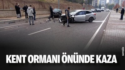 Kent Ormanı &ouml;n&uuml;nde kaza