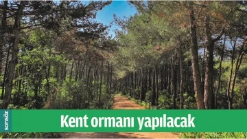 KENT ORMANI YAPILACAK