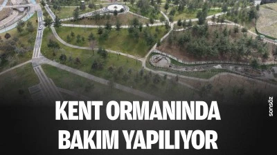 Kent Ormanında bakım yapılıyor