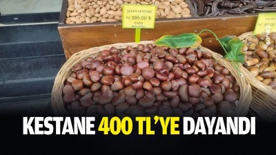Kestane 400 TL&rsquo;ye dayandı
