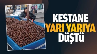 Kestane yarı yarıya d&uuml;şt&uuml;