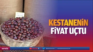 Kestanenin fiyat u&ccedil;tu
