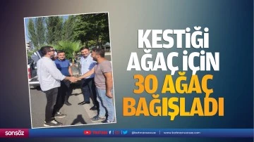 Kestiği ağa&ccedil; i&ccedil;in 30 ağa&ccedil; bağışladı