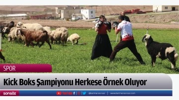 Kick Boks Şampiyonu Herkese &Ouml;rnek Oluyor