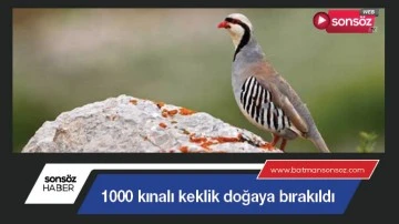 Kınalı keklikler doğaya bırakıldı