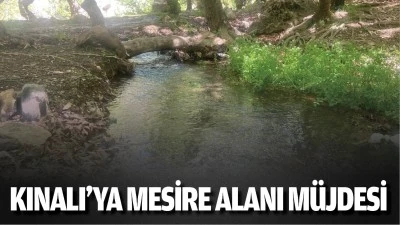 Kınalı&rsquo;ya mesire alanı m&uuml;jdesi