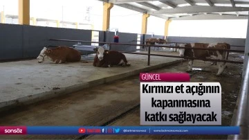 Kırmızı et a&ccedil;ığının kapanmasına katkı sağlayacak