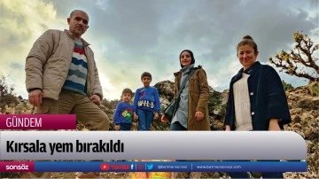 Kırsala yem bırakıldı