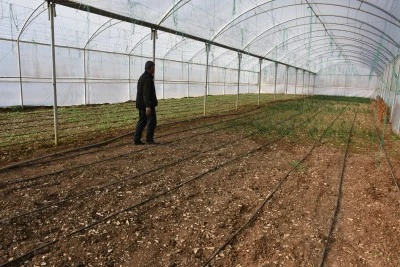Kırsalında kurulan seralar tarımsal &uuml;retimi canlandırdı