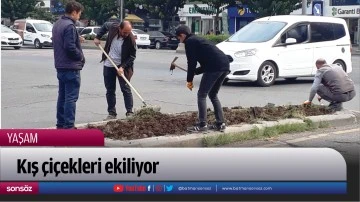 Kış &ccedil;i&ccedil;ekleri ekiliyor
