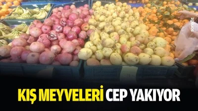 Kış meyveleri cep yakıyor