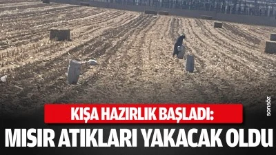 Kışa hazırlık başladı