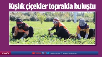 Kışlık &ccedil;i&ccedil;ekler toprakla buluştu