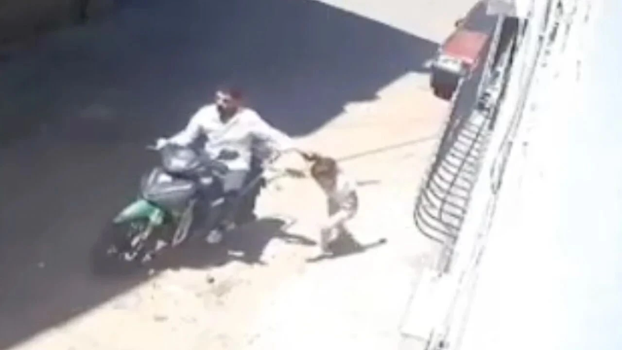 Kız &ccedil;ocuğunu darbettiği iddia edilen baba g&ouml;zaltına alındı