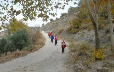 Kızılay g&ouml;n&uuml;ll&uuml;leri yaşlı kadının zeytin hasadını yaptı