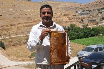 Kızıltepe'de bal hasadı yapıldı