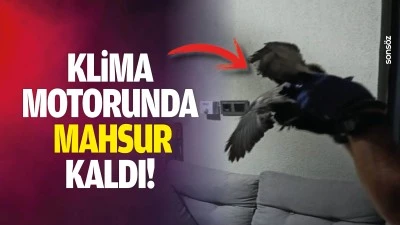 Klima motorunda mahsur kaldı!