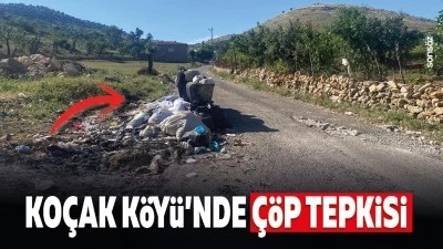 Ko&ccedil;ak K&ouml;y&uuml;'nde &ccedil;&ouml;p tepkisi