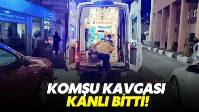 Komşu kavgası kanlı bitti!