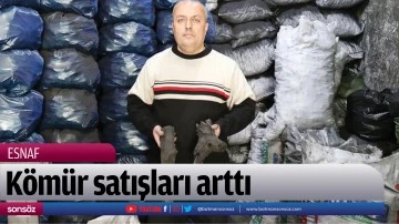 K&ouml;m&uuml;r satışları arttı