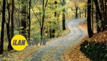 Konaklamasız orman parkı yaptırılacaktır