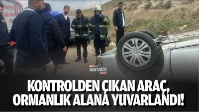 Kontrolden &ccedil;ıkan ara&ccedil;, ormanlık alana yuvarlandı!