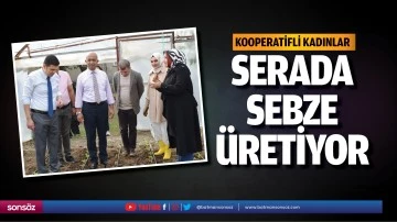 Kooperatifli kadınlar serada sebze &uuml;retiyor