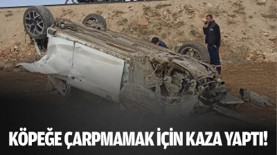 K&ouml;peğe &ccedil;arpmamak i&ccedil;in kaza yaptı!